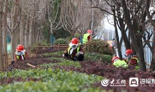 岚山是哪个省的城市