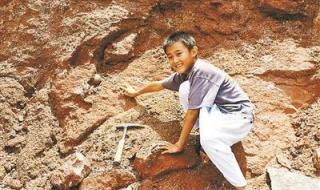 6600万年前恐龙蛋化石