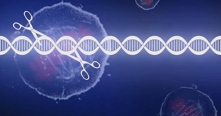 生物科技突破(基因编辑应用)(生物基因技术)