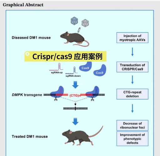 生物科技突破(基因编辑应用)(生物基因技术)