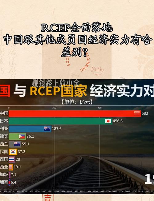 区域经济一体化（RCEP深化）（区域经济一体化促进了成员国贸易增长对外投资发展）