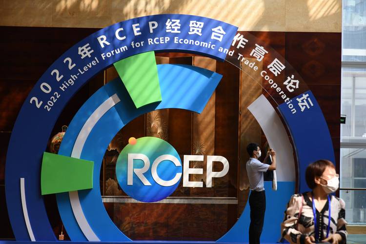 区域经济一体化（RCEP深化）（区域经济一体化促进了成员国贸易增长对外投资发展）