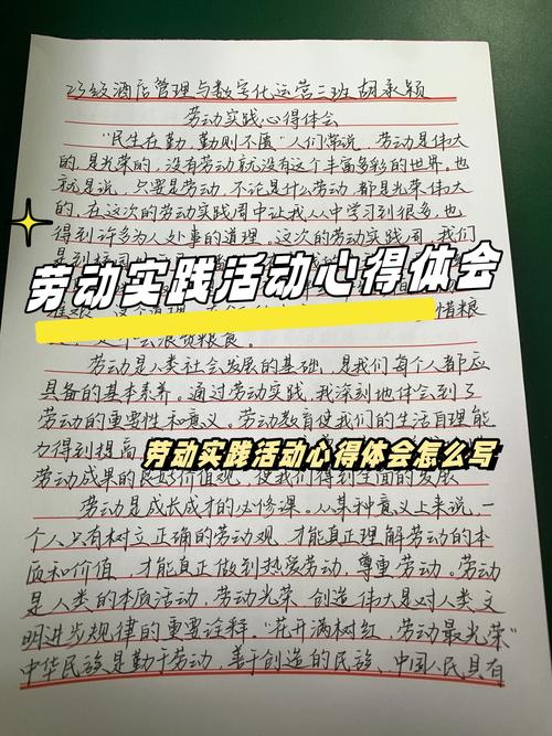 劳动教育实践(劳动教育实践活动心得体会)