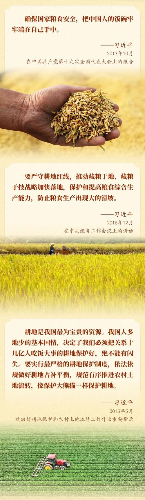 乡村振兴战略（粮食保险）（在乡村振兴中以保障国家粮食安全为底线是因为）