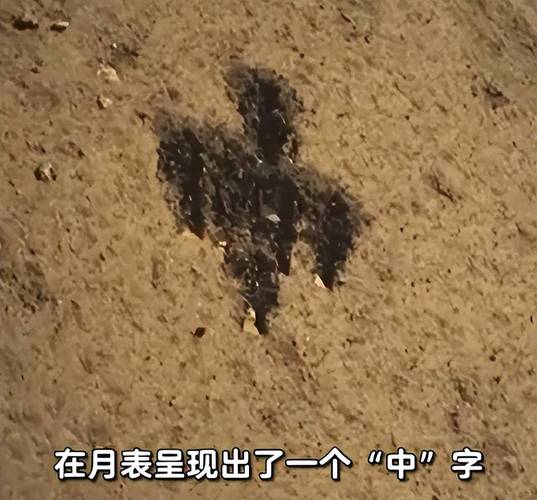 月球背面(月球背面土壤)