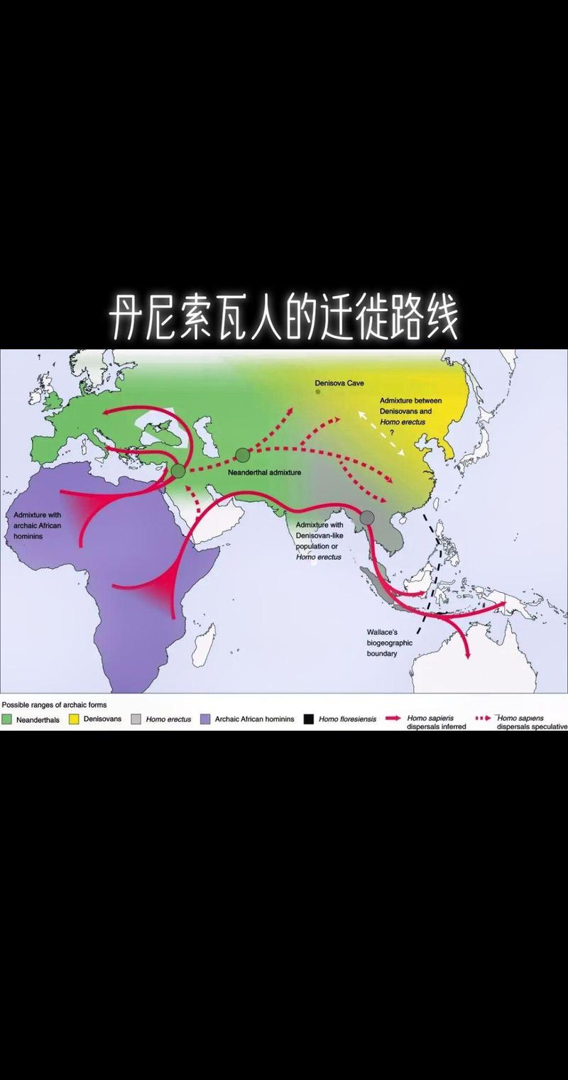 人类迁徙史（人类迁徙史 pdf）