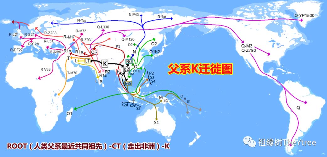 人类迁徙史（人类迁徙史 pdf）