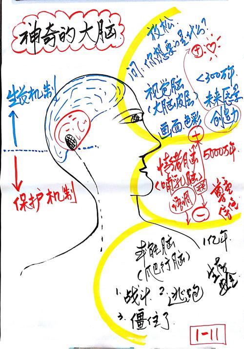 记忆机制（大脑记忆机制）