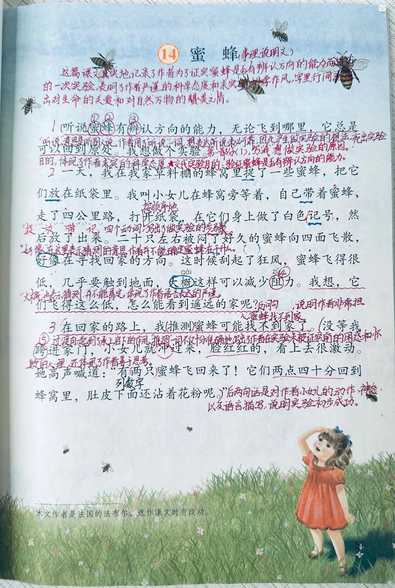 蜜蜂的舞蹈语言（蜜蜂的舞蹈语言是什么）
