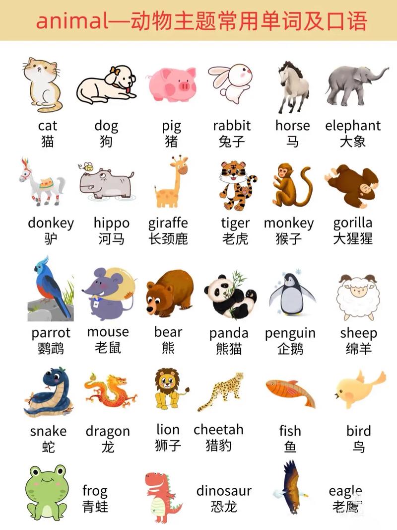 动物行为学(动物行为学英语)