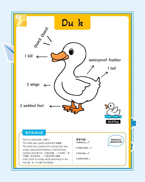 动物行为学(动物行为学英语)